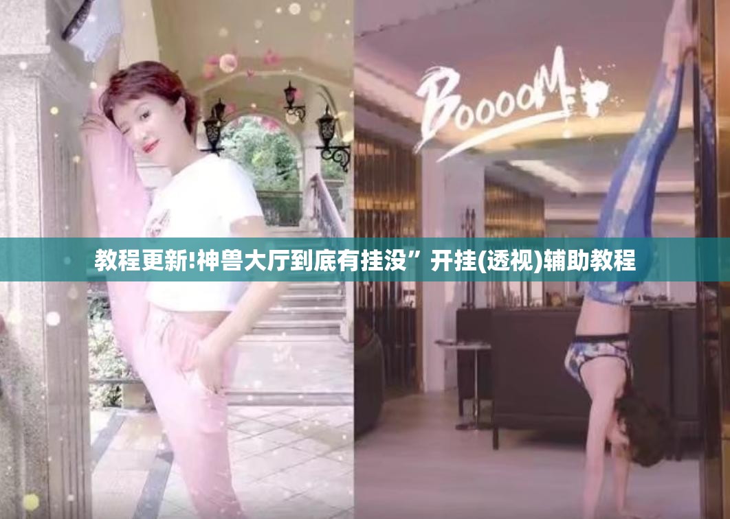 教程更新!神兽大厅到底有挂没”开挂(透视)辅助教程