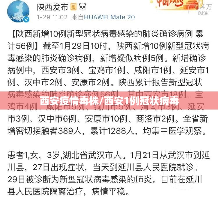 西安疫情毒株/西安1例冠状病毒