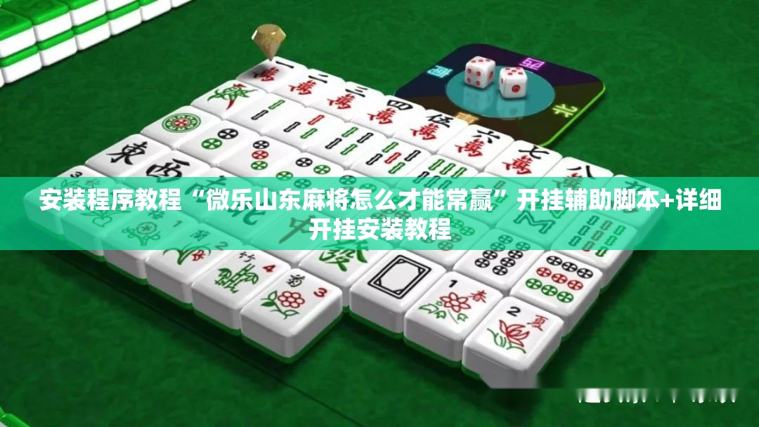 安装程序教程“微乐山东麻将怎么才能常赢	”开挂辅助脚本+详细开挂安装教程