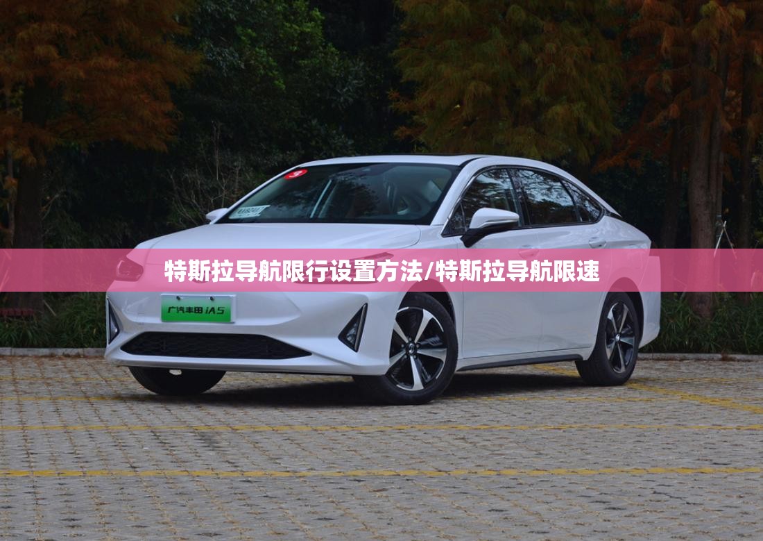 特斯拉导航限行设置方法/特斯拉导航限速