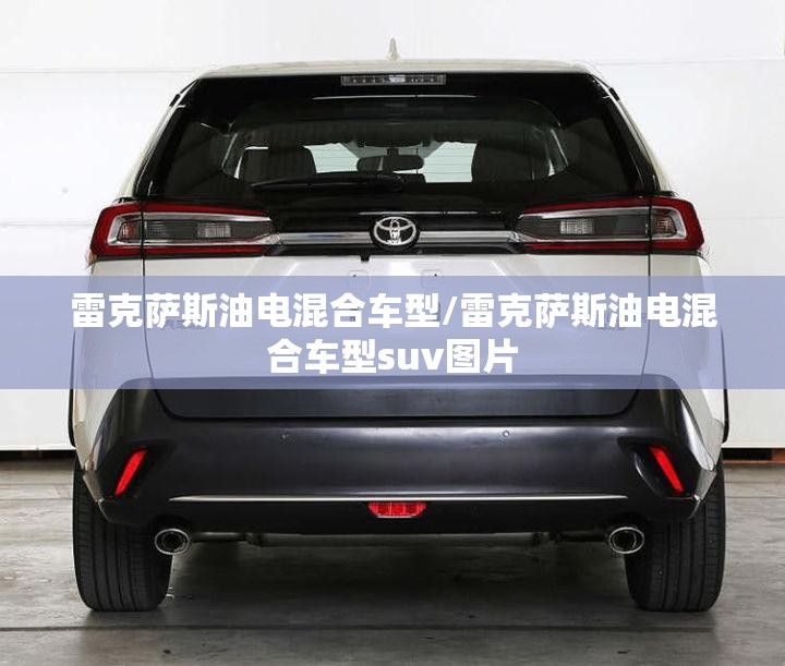 雷克萨斯油电混合车型/雷克萨斯油电混合车型suv图片 雷克萨斯油电混合车型/雷克萨斯油电混合车型suv图片
