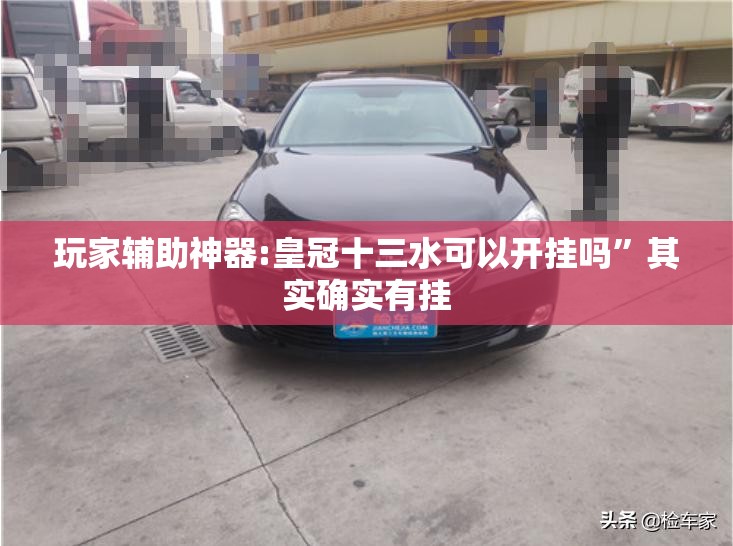 玩家辅助神器:皇冠十三水可以开挂吗”其实确实有挂