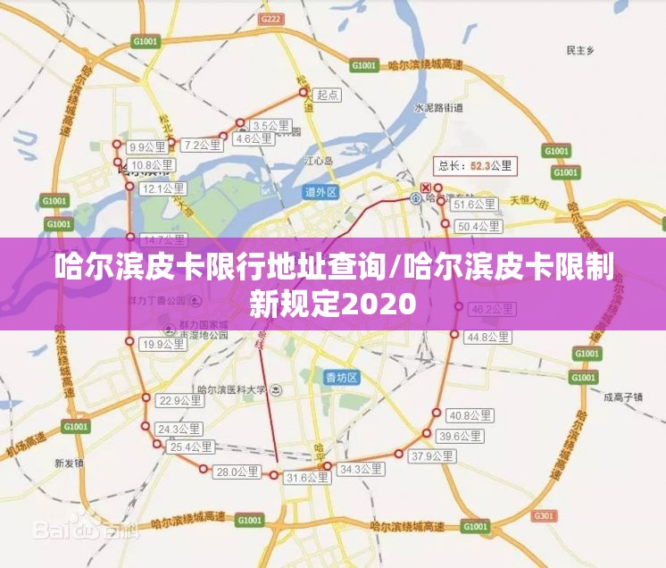 哈尔滨皮卡限行地址查询/哈尔滨皮卡限制新规定2020 哈尔滨皮卡限行地址查询/哈尔滨皮卡限制新规定2020