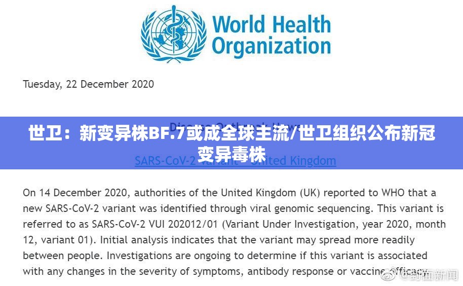 世卫:新变异株BF.7或成全球主流/世卫组织公布新冠变异毒株 世卫:新变异株BF.7或成全球主流/世卫组织公布新冠变异毒株