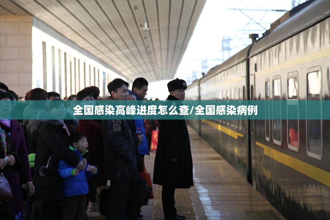 全国感染高峰进度怎么查/全国感染病例 全国感染高峰进度怎么查/全国感染病例