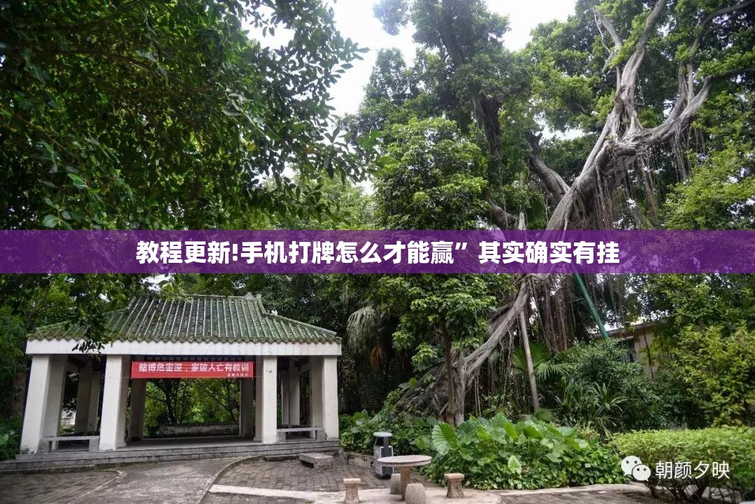 教程更新!手机打牌怎么才能赢”其实确实有挂