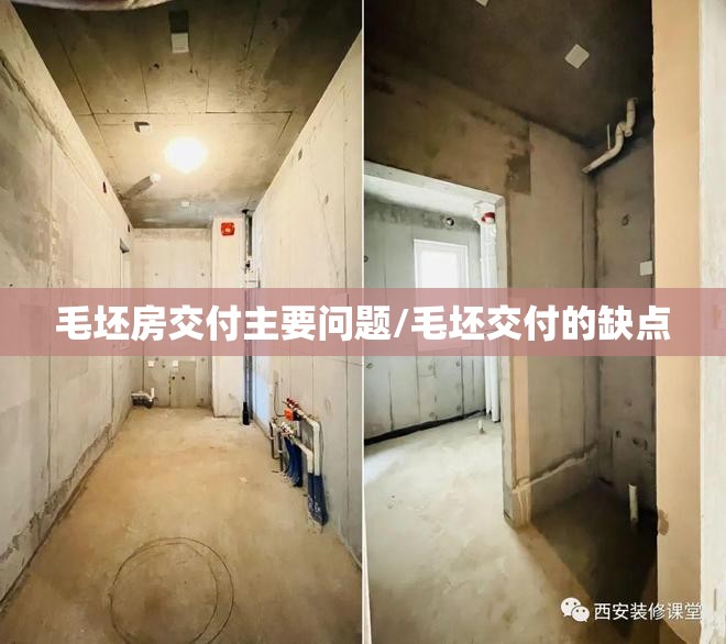 毛坯房交付主要问题/毛坯交付的缺点 毛坯房交付主要问题/毛坯交付的缺点