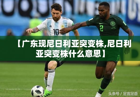 【广东现尼日利亚突变株,尼日利亚突变株什么意思】 【广东现尼日利亚突变株,尼日利亚突变株什么意思】