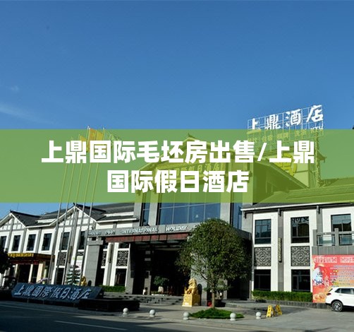 上鼎国际毛坯房出售/上鼎国际假日酒店 上鼎国际毛坯房出售/上鼎国际假日酒店