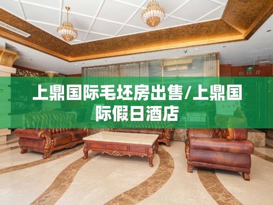 上鼎国际毛坯房出售/上鼎国际假日酒店 上鼎国际毛坯房出售/上鼎国际假日酒店
