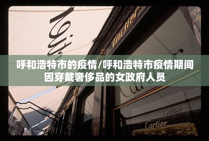 呼和浩特市的疫情/呼和浩特市疫情期间因穿戴奢侈品的女政府人员 呼和浩特市的疫情/呼和浩特市疫情期间因穿戴奢侈品的女政府人员