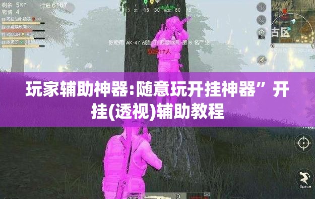 玩家辅助神器:随意玩开挂神器”开挂(透视)辅助教程