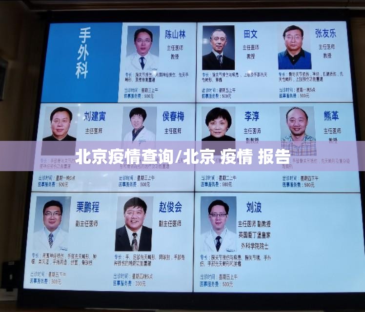 北京疫情查询/北京 疫情 报告 北京疫情查询/北京 疫情 报告