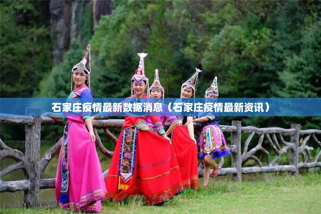 石家庄疫情最新数据消息(石家庄疫情最新资讯) 石家庄疫情最新数据消息(石家庄疫情最新资讯)