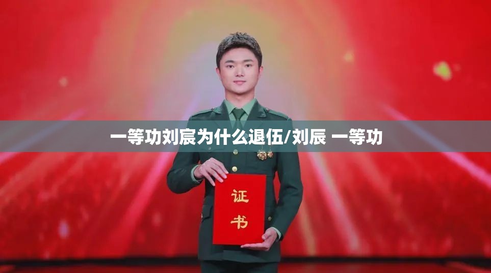 一等功刘宸为什么退伍/刘辰 一等功 一等功刘宸为什么退伍/刘辰 一等功