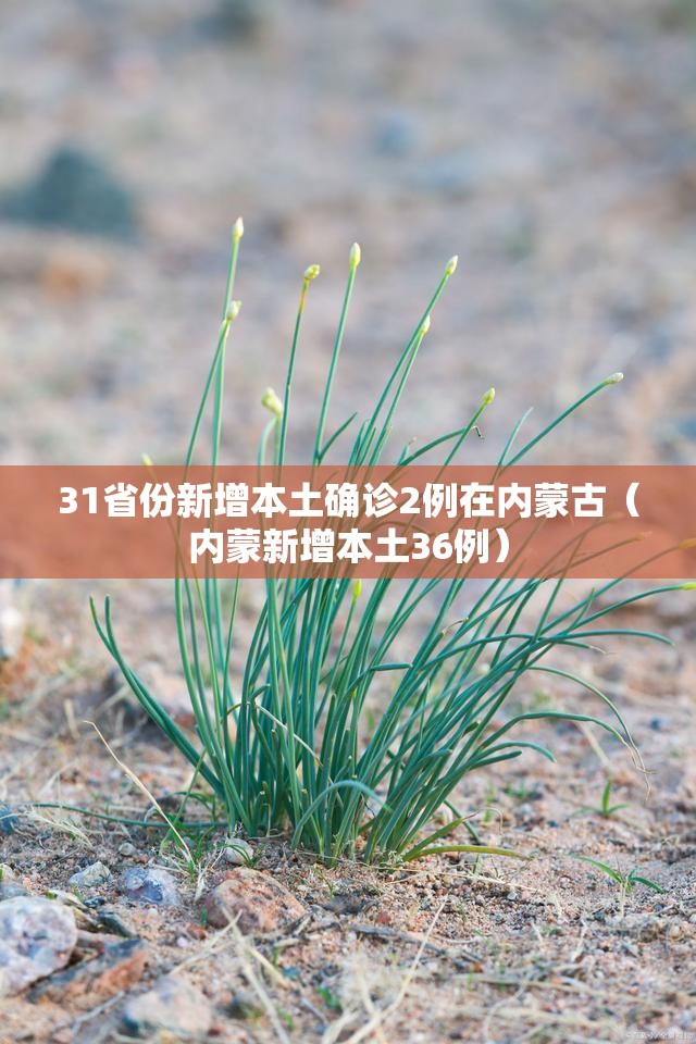 31省份新增本土确诊2例在内蒙古(内蒙新增本土36例) 31省份新增本土确诊2例在内蒙古(内蒙新增本土36例)
