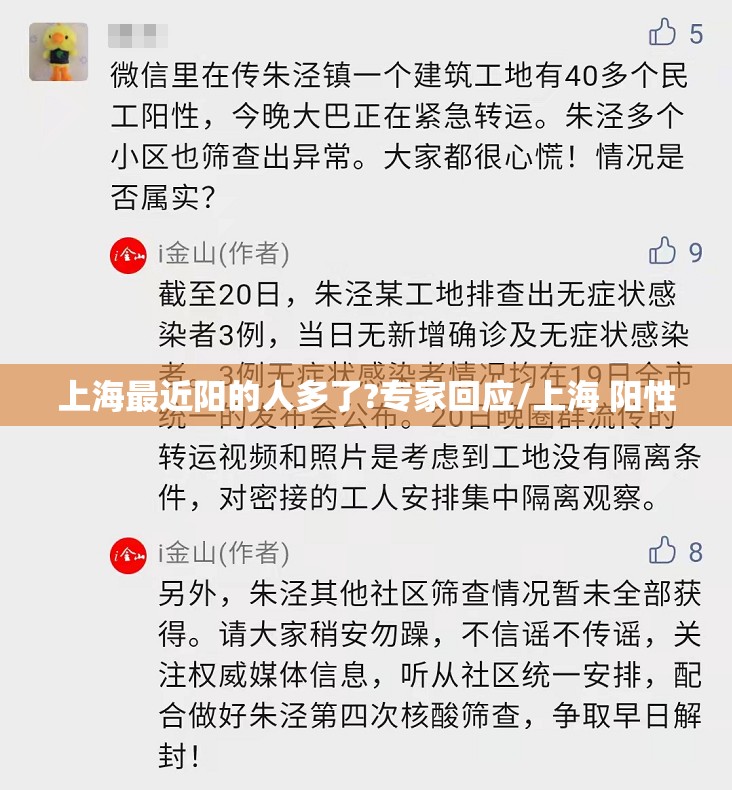 上海最近阳的人多了?专家回应/上海 阳性 上海最近阳的人多了?专家回应/上海 阳性