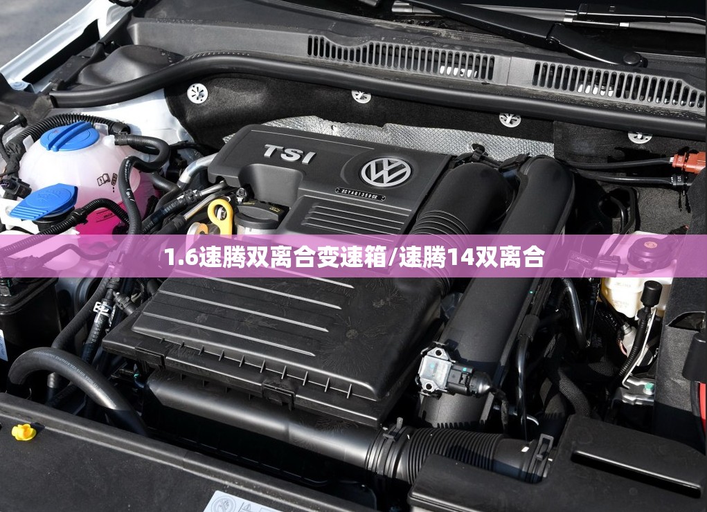 1.6速腾双离合变速箱/速腾14双离合 1.6速腾双离合变速箱/速腾14双离合