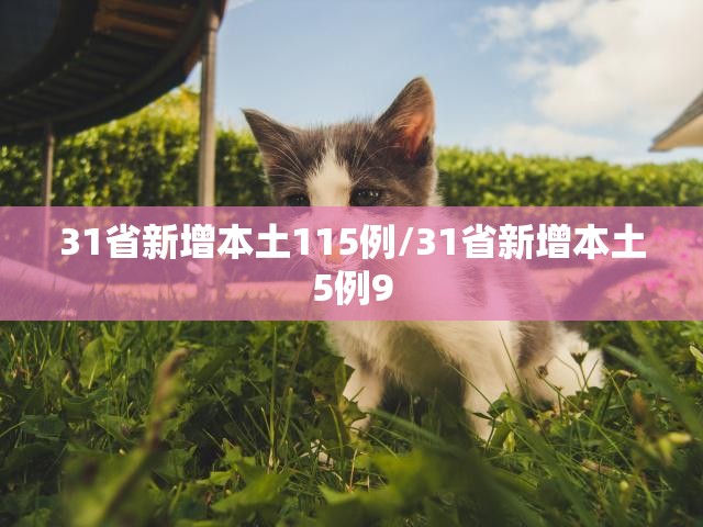 31省新增本土115例/31省新增本土5例9 31省新增本土115例/31省新增本土5例9