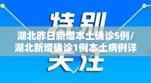 湖北昨日新增本土确诊5例/湖北新增确诊1例本土病例详情 湖北昨日新增本土确诊5例/湖北新增确诊1例本土病例详情