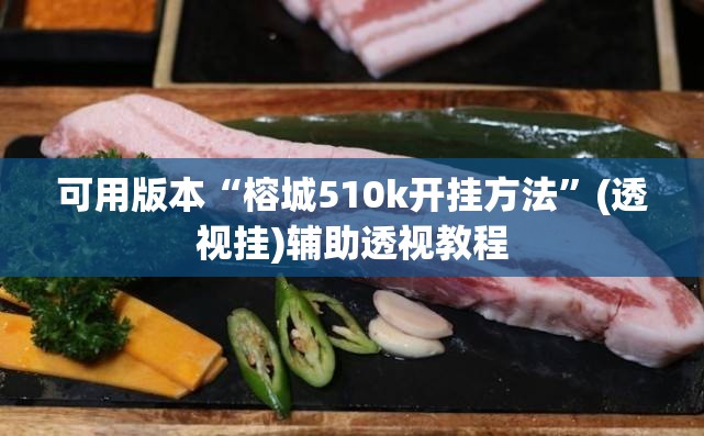 可用版本“榕城510k开挂方法”(透视挂)辅助透视教程