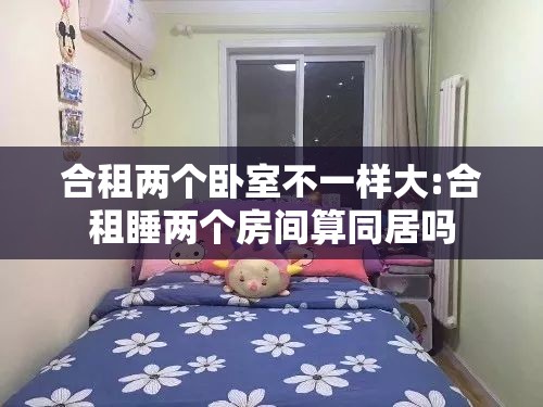 合租两个卧室不一样大:合租睡两个房间算同居吗 合租两个卧室不一样大:合租睡两个房间算同居吗