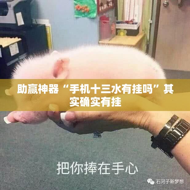 助赢神器“手机十三水有挂吗”其实确实有挂
