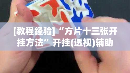 [教程经验]“方片十三张开挂方法”开挂(透视)辅助教程
