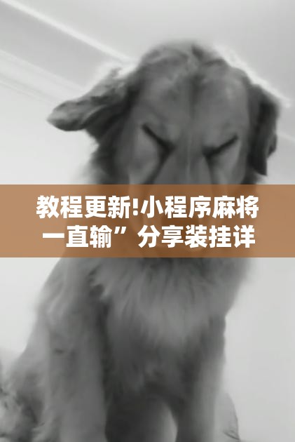 教程更新!小程序麻将一直输”分享装挂详细步骤