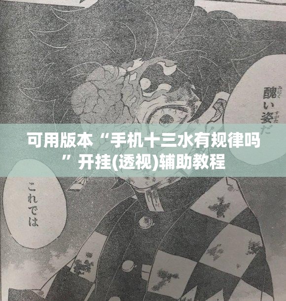 可用版本“手机十三水有规律吗”开挂(透视)辅助教程