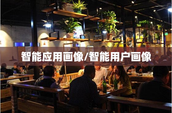 智能应用画像/智能用户画像 智能应用画像/智能用户画像