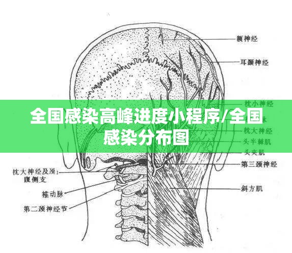 全国感染高峰进度小程序/全国感染分布图 全国感染高峰进度小程序/全国感染分布图