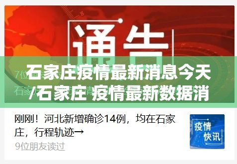 石家庄疫情最新消息今天/石家庄 疫情最新数据消息 石家庄疫情最新消息今天/石家庄 疫情最新数据消息