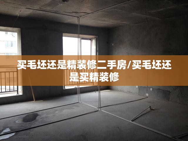 买毛坯还是精装修二手房/买毛坯还是买精装修 买毛坯还是精装修二手房/买毛坯还是买精装修