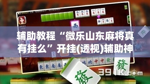 辅助教程“微乐山东麻将真有挂么”开挂(透视)辅助神器