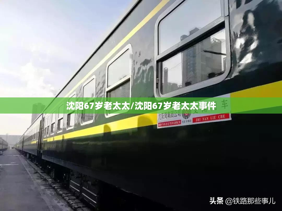 沈阳67岁老太太/沈阳67岁老太太事件 沈阳67岁老太太/沈阳67岁老太太事件
