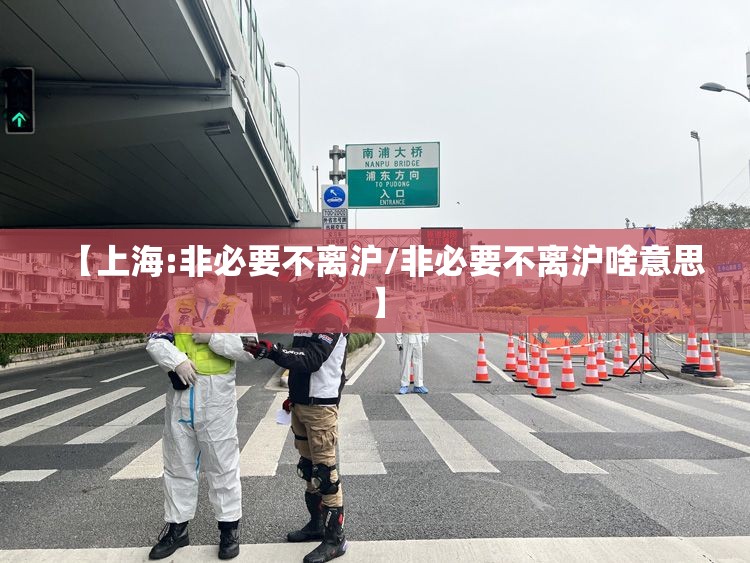 【上海:非必要不离沪/非必要不离沪啥意思】 【上海:非必要不离沪/非必要不离沪啥意思】