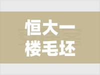 恒大一楼毛坯房好不好/恒大一楼好出售吗 恒大一楼毛坯房好不好/恒大一楼好出售吗