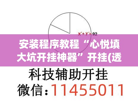 安装程序教程“心悦填大坑开挂神器”开挂(透视)辅助教程