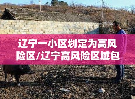 辽宁一小区划定为高风险区/辽宁高风险区域包括哪些 辽宁一小区划定为高风险区/辽宁高风险区域包括哪些