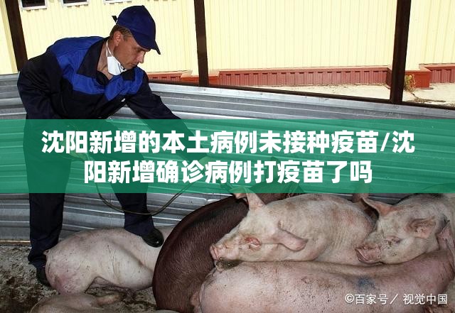沈阳新增的本土病例未接种疫苗/沈阳新增确诊病例打疫苗了吗 沈阳新增的本土病例未接种疫苗/沈阳新增确诊病例打疫苗了吗