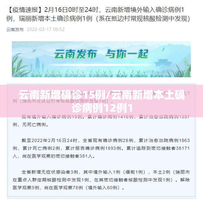 云南新增确诊15例/云南新增本土确诊病例12例1 云南新增确诊15例/云南新增本土确诊病例12例1