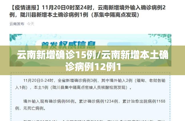 云南新增确诊15例/云南新增本土确诊病例12例1 云南新增确诊15例/云南新增本土确诊病例12例1