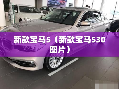 新款宝马5(新款宝马530图片) 新款宝马5(新款宝马530图片)