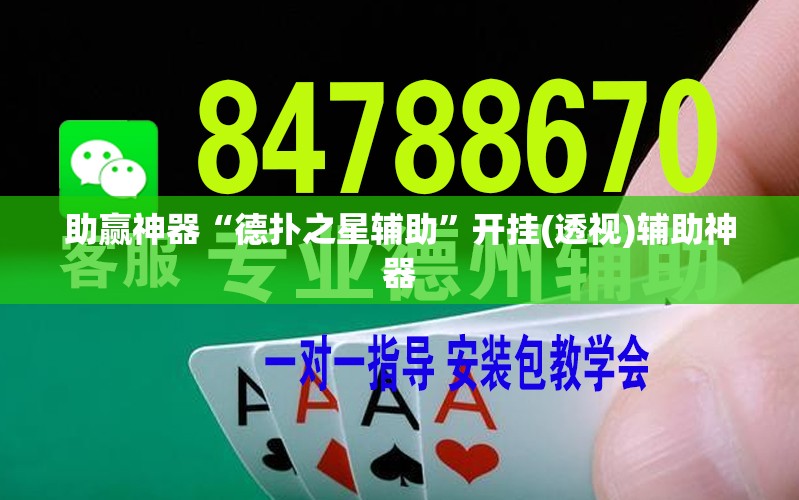 助赢神器“德扑之星辅助	”开挂(透视)辅助神器