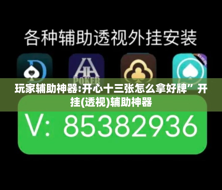 玩家辅助神器:开心十三张怎么拿好牌”开挂(透视)辅助神器