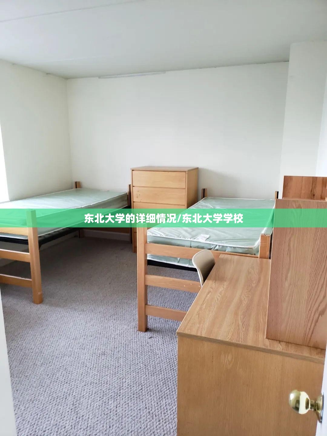 东北大学的详细情况/东北大学学校 东北大学的详细情况/东北大学学校