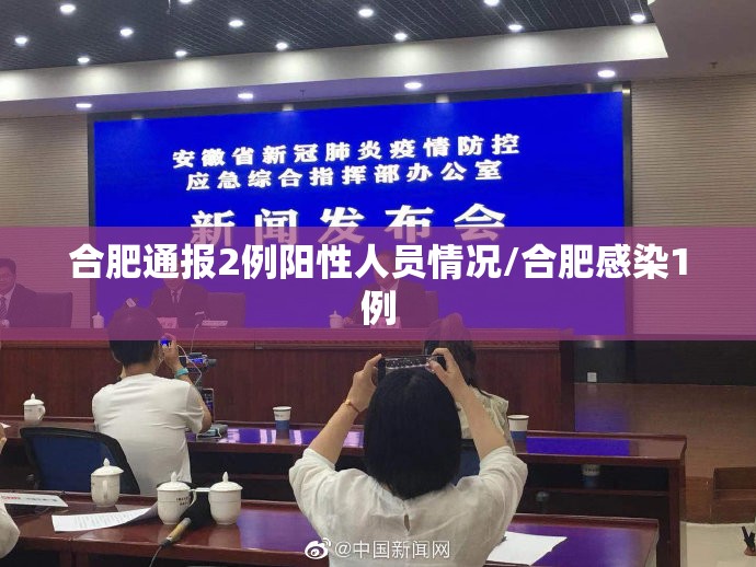 合肥通报2例阳性人员情况/合肥感染1例 合肥通报2例阳性人员情况/合肥感染1例