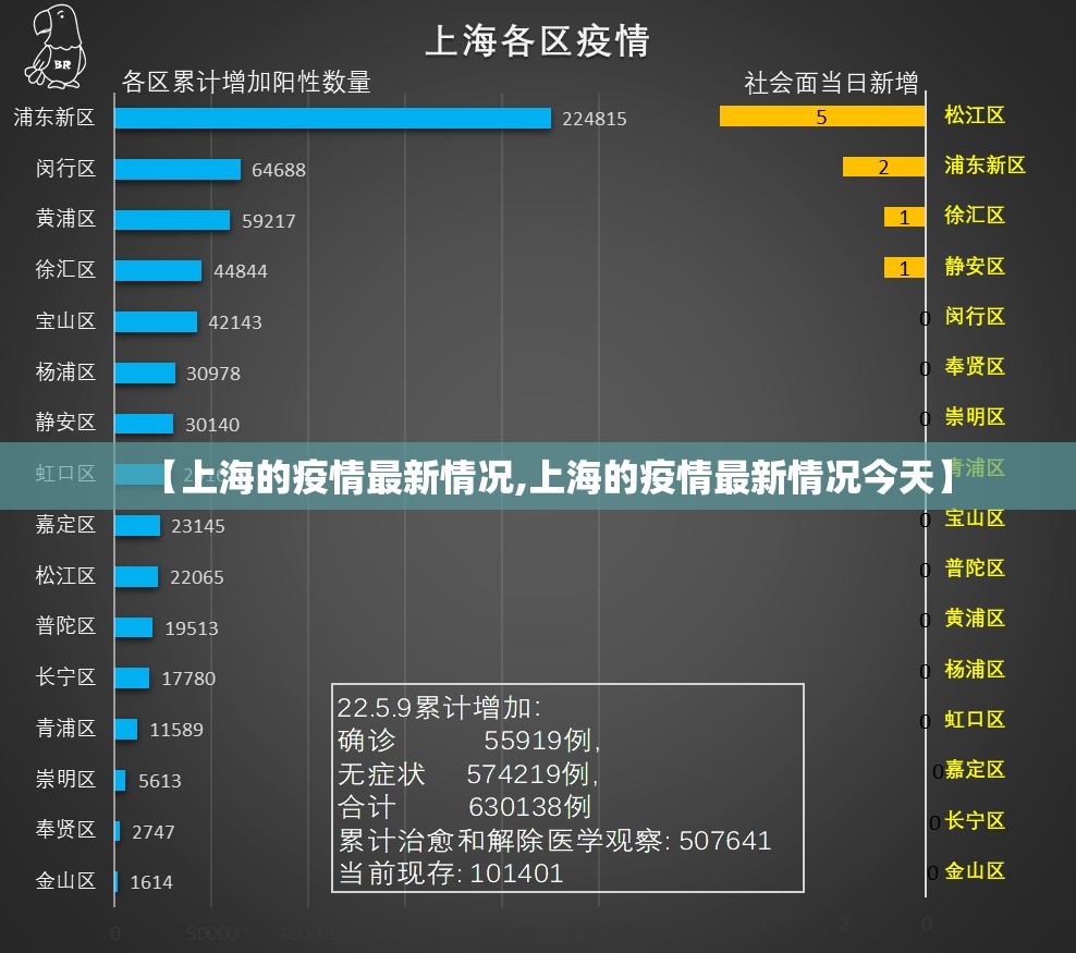 【上海的疫情最新情况,上海的疫情最新情况今天】 【上海的疫情最新情况,上海的疫情最新情况今天】