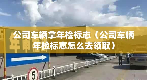 公司车辆拿年检标志(公司车辆年检标志怎么去领取) 公司车辆拿年检标志(公司车辆年检标志怎么去领取)
